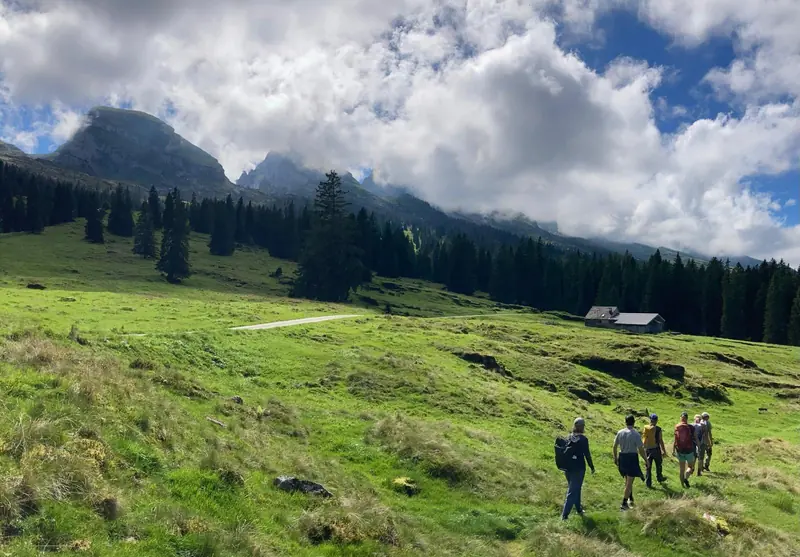 Wandergruppe auf grüner Bergwiese mit beeindruckendem Bergpanorama