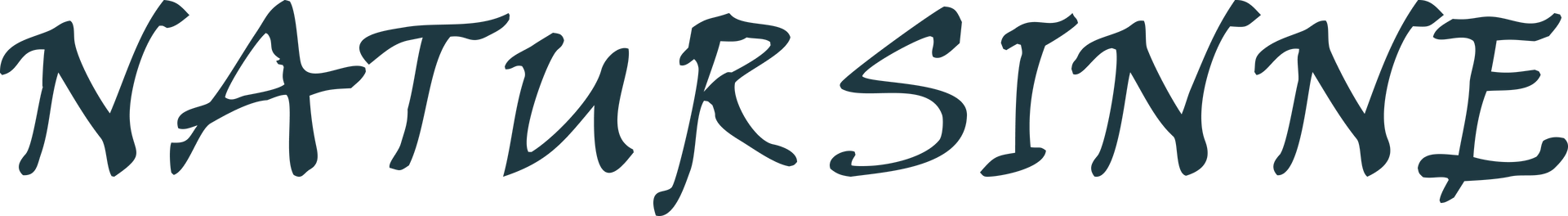 Logo Natursinne Logo schwarz