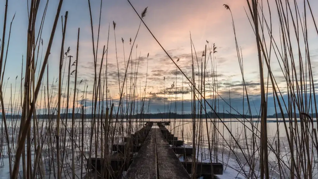 Holzsteg an einem winterlichen See im Abendrot, Schilf im Vordergrund, stille Wasseroberfläche